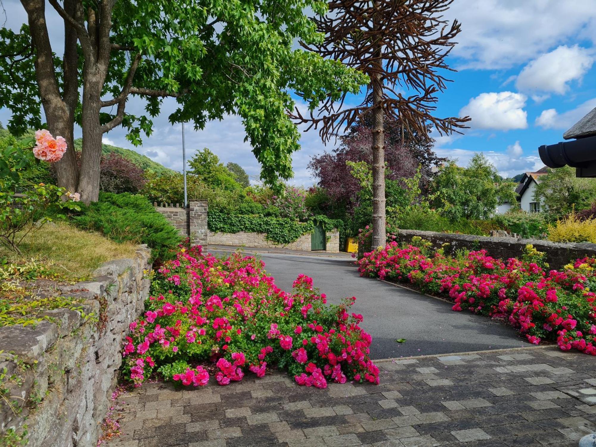 Camden Lodge B&B Brecon. Zimmer foto