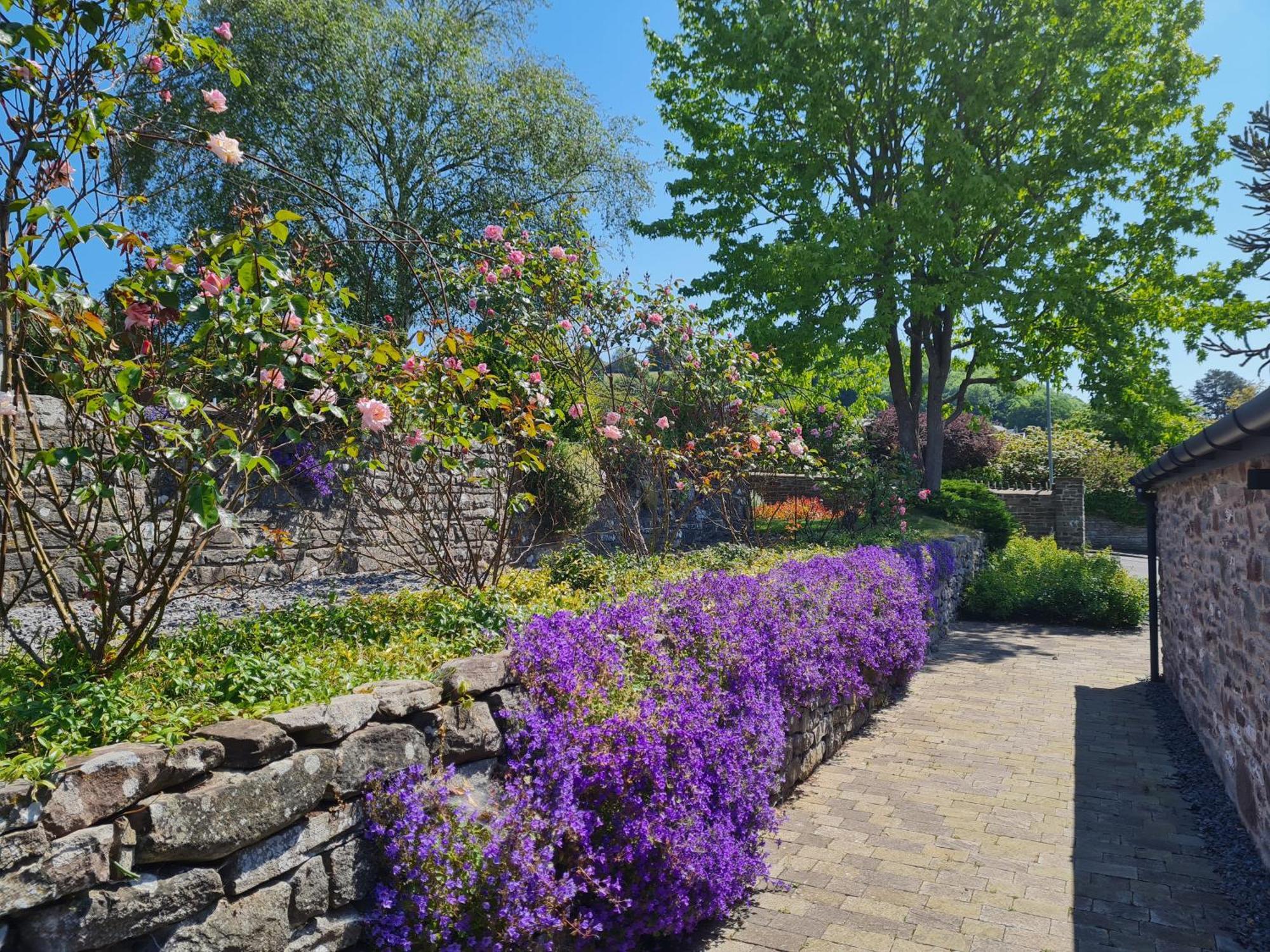 Camden Lodge B&B Brecon. Zimmer foto